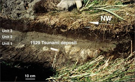 soil profile showing 3 1929 tsunami deposits